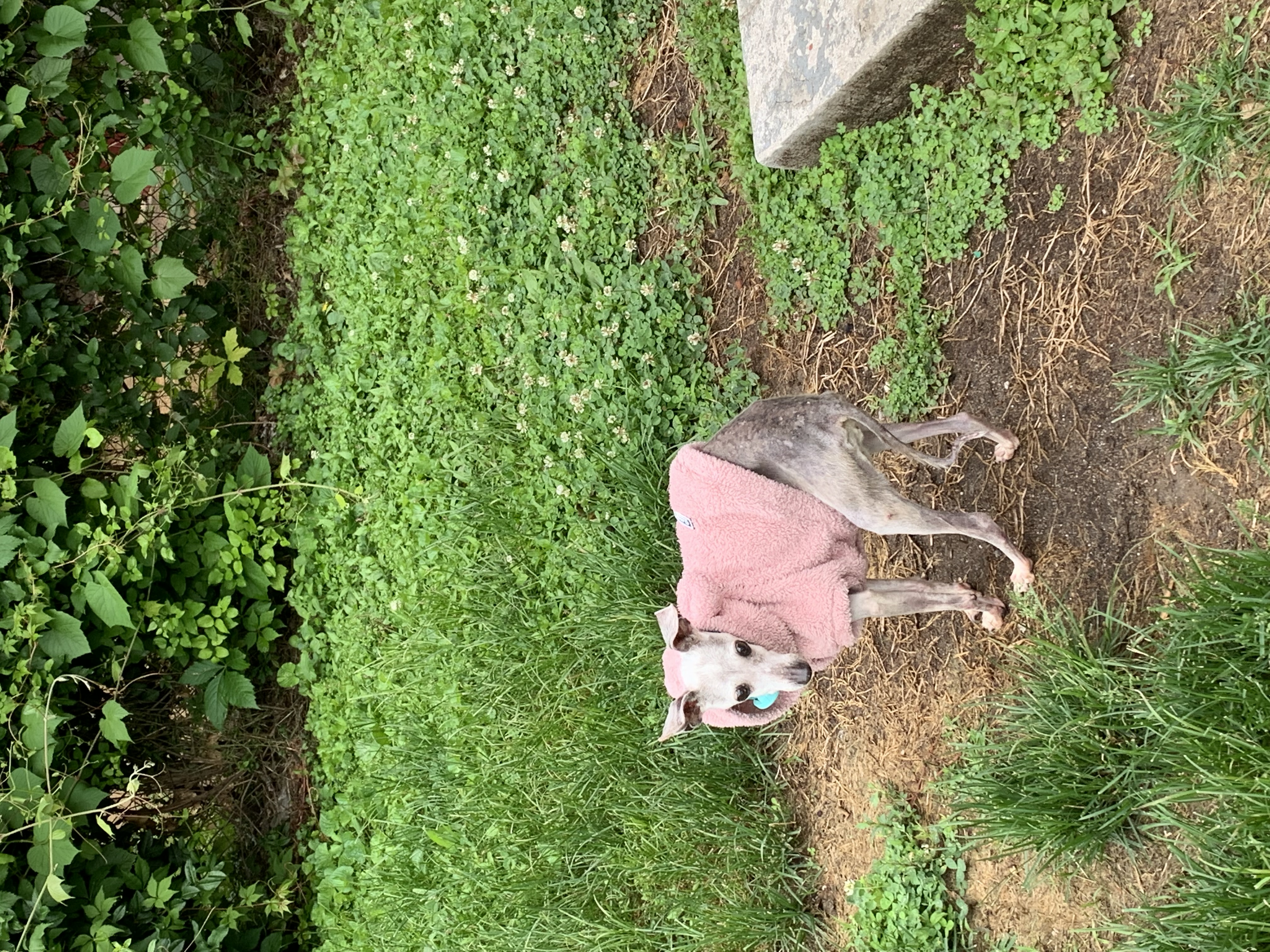 ./2022/06 - St Louis/05 - Day 5/20220525-121445962.JPG